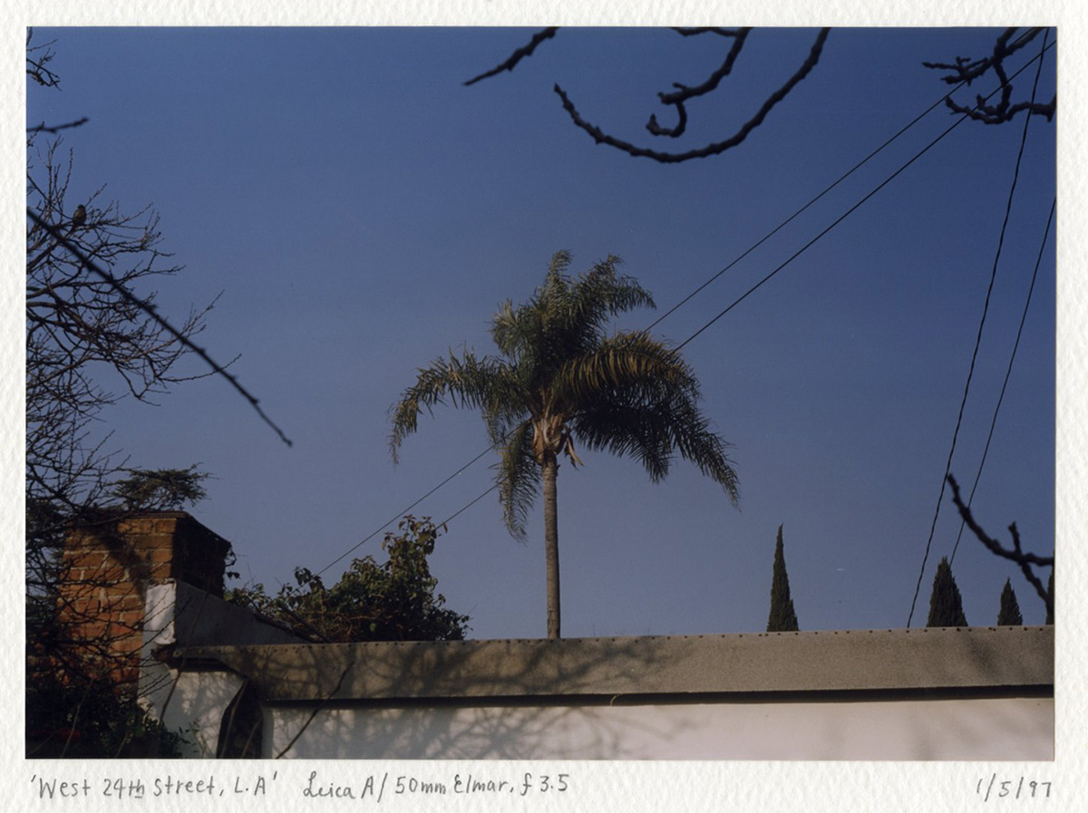 “W.24th St. L.A.” Leica A/Elmar 50mm